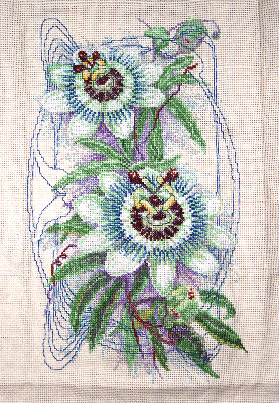 Passion Flowers