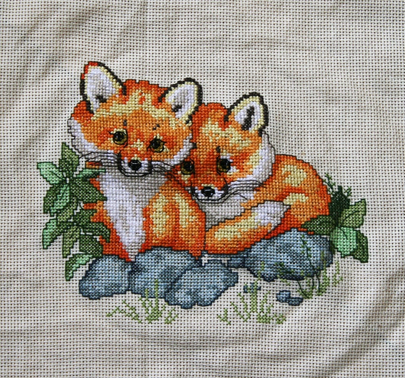Red fox