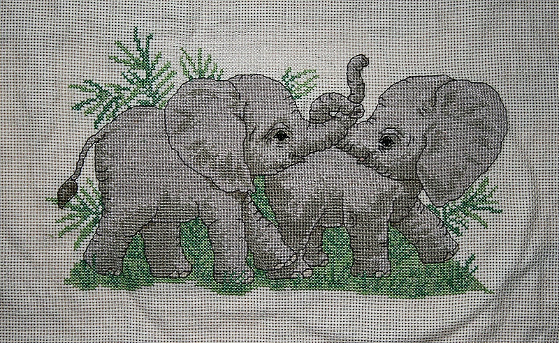 The Elephant