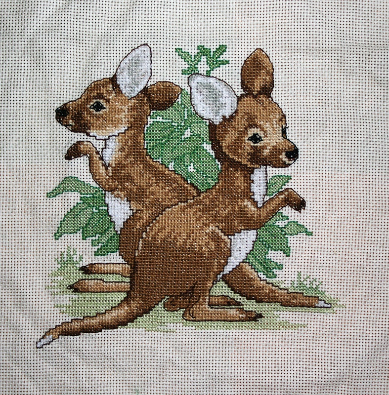 The Kangaroo